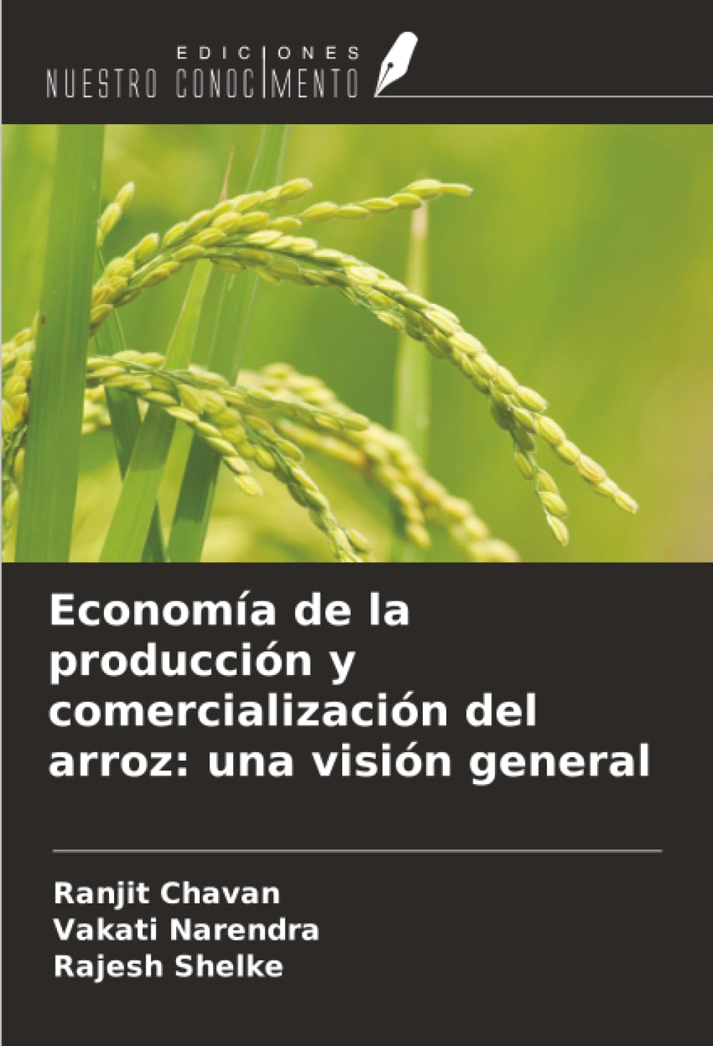 Economía de la producción y comercialización del arroz: una visión general