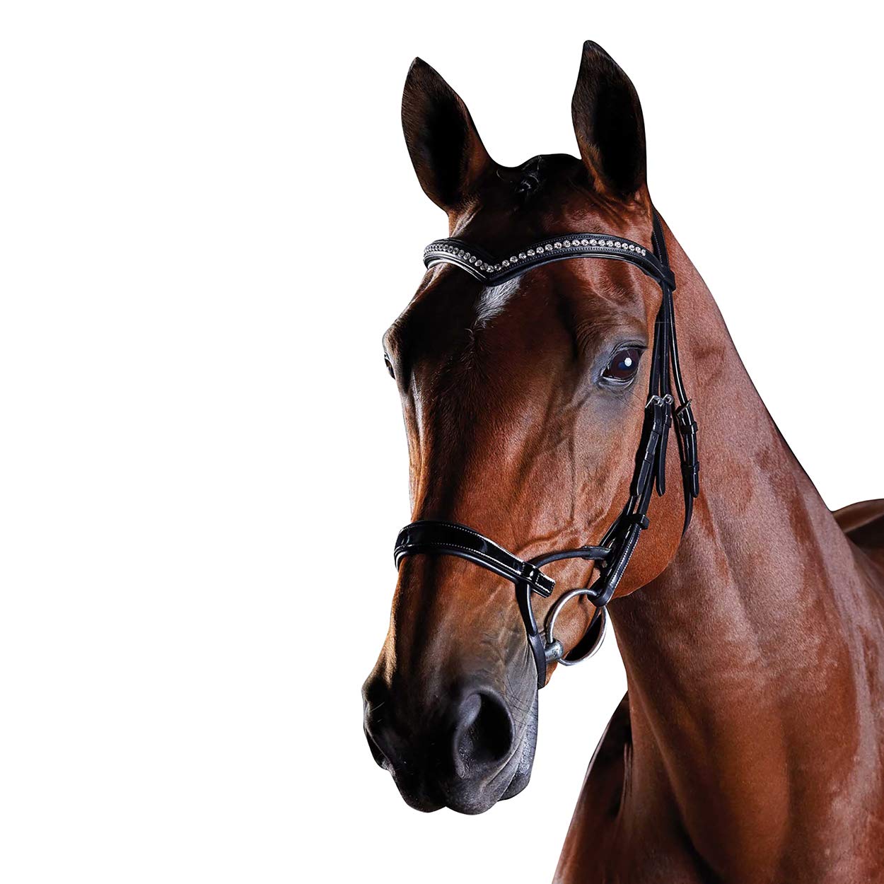 Collegiate ComFiTec Patent Bridle, Black, Cob โ image 1