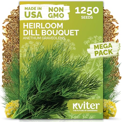 KVITER 1250 Dill Seeds for Planting (Anethum graveolens) - Bouquet Dill Early Flowering Strong Aroma Non Gmo Seed Packets - Heirloom Herb Seeds for Outdoor & Indoor Garden Raised Beds & Containers