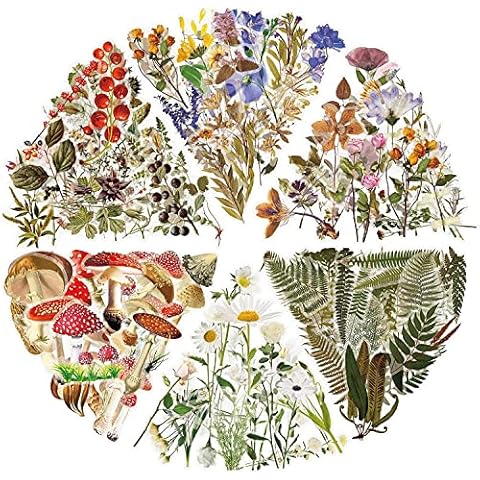 Milcraft Vintage Journaling Stickers Pack 240Pcs, Scrapbook Sticker Aesthetic Natural Plant Flower Mushroom Sticker Art Bullet Journals Planners DIY Sticker, Pretty Floral Decorative Retro Decals Cover