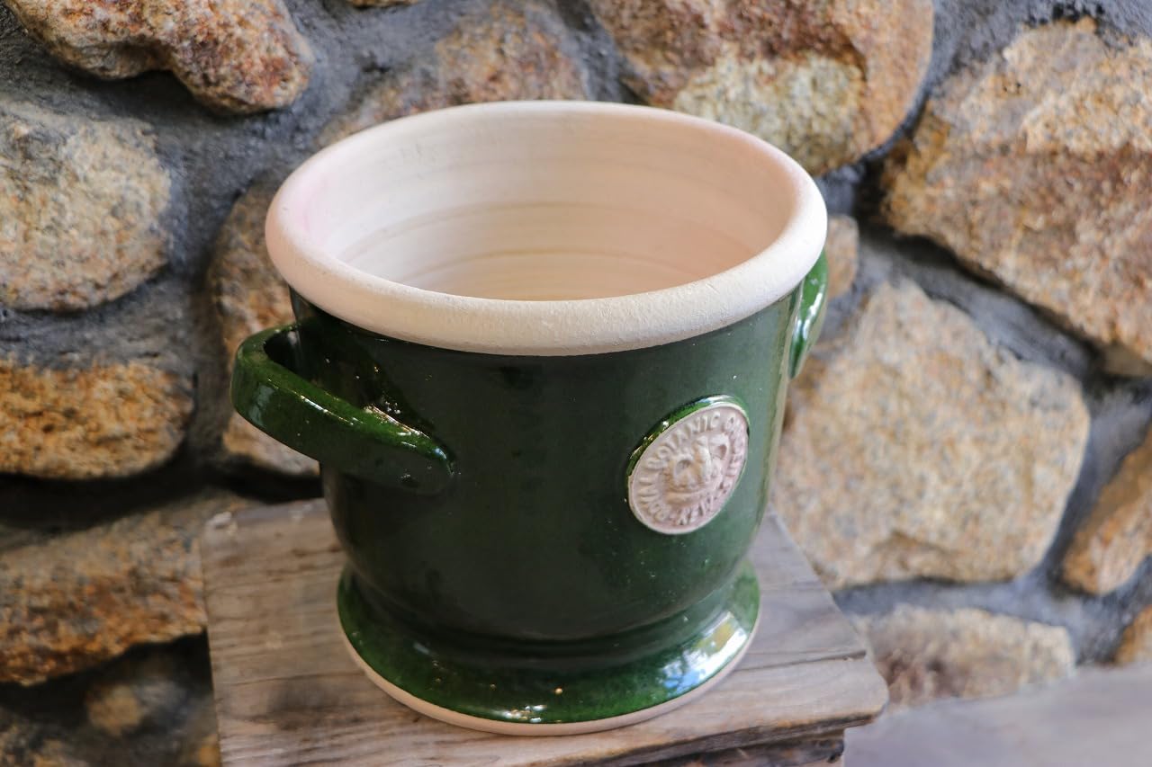 Amazon.co.jp: キューガーデン Kew Garden 陶器鉢 パルナス キュー