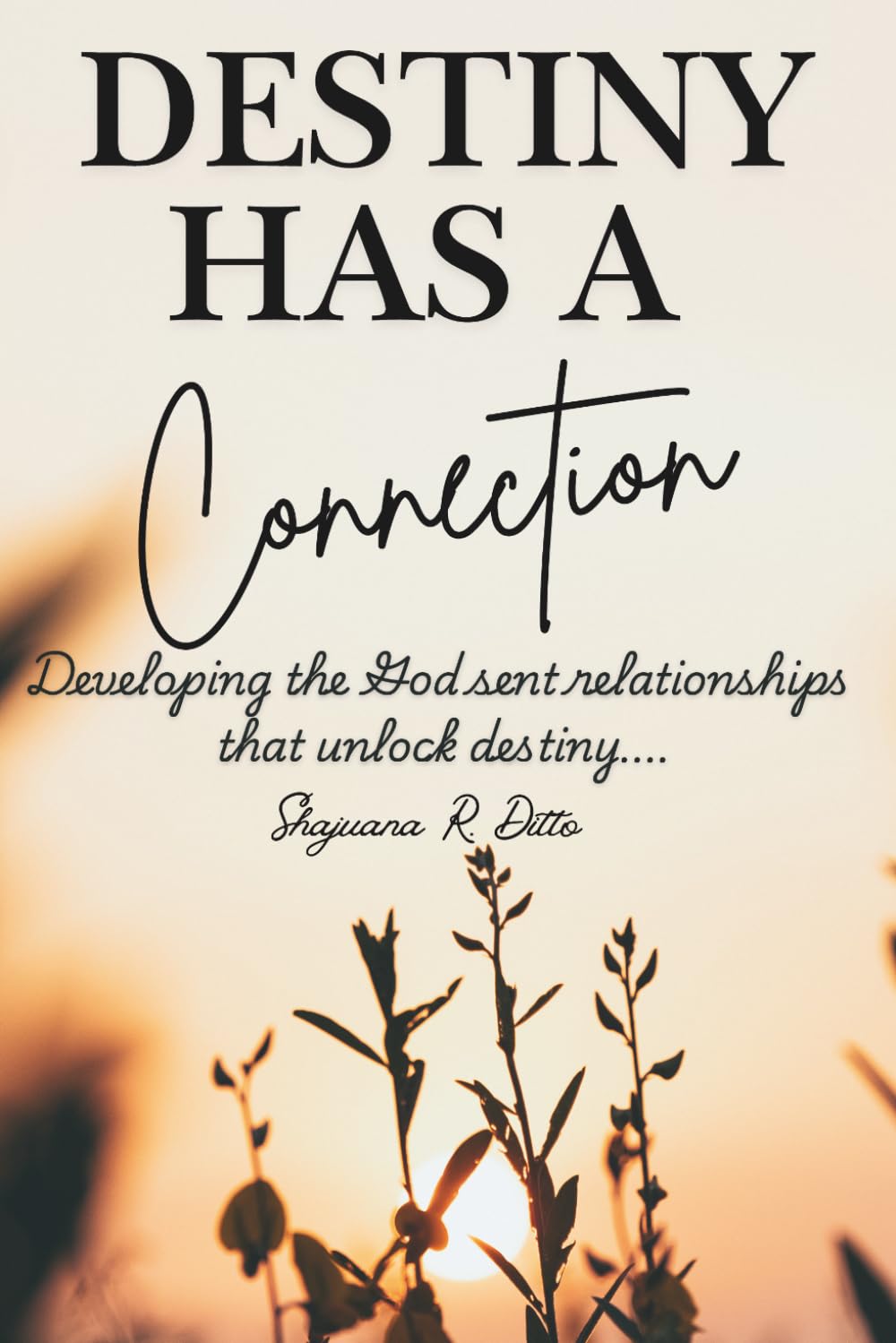 Destiny Has A Connection: Developing the God sent relationships that unlock destiny