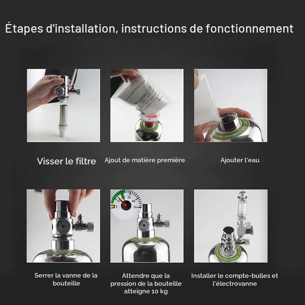 Système Générateur de CO₂, 5L Système CO₂ pour Double Aquarium | Kit Réacteur à Dioxyde de Carbone avec Bouteille en Acier Inoxydable Électrovanne Compteur de Bulles Fétendeur