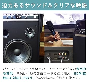 Amazon.co.jp: 太知ホールディングス アナバス カラオケセット