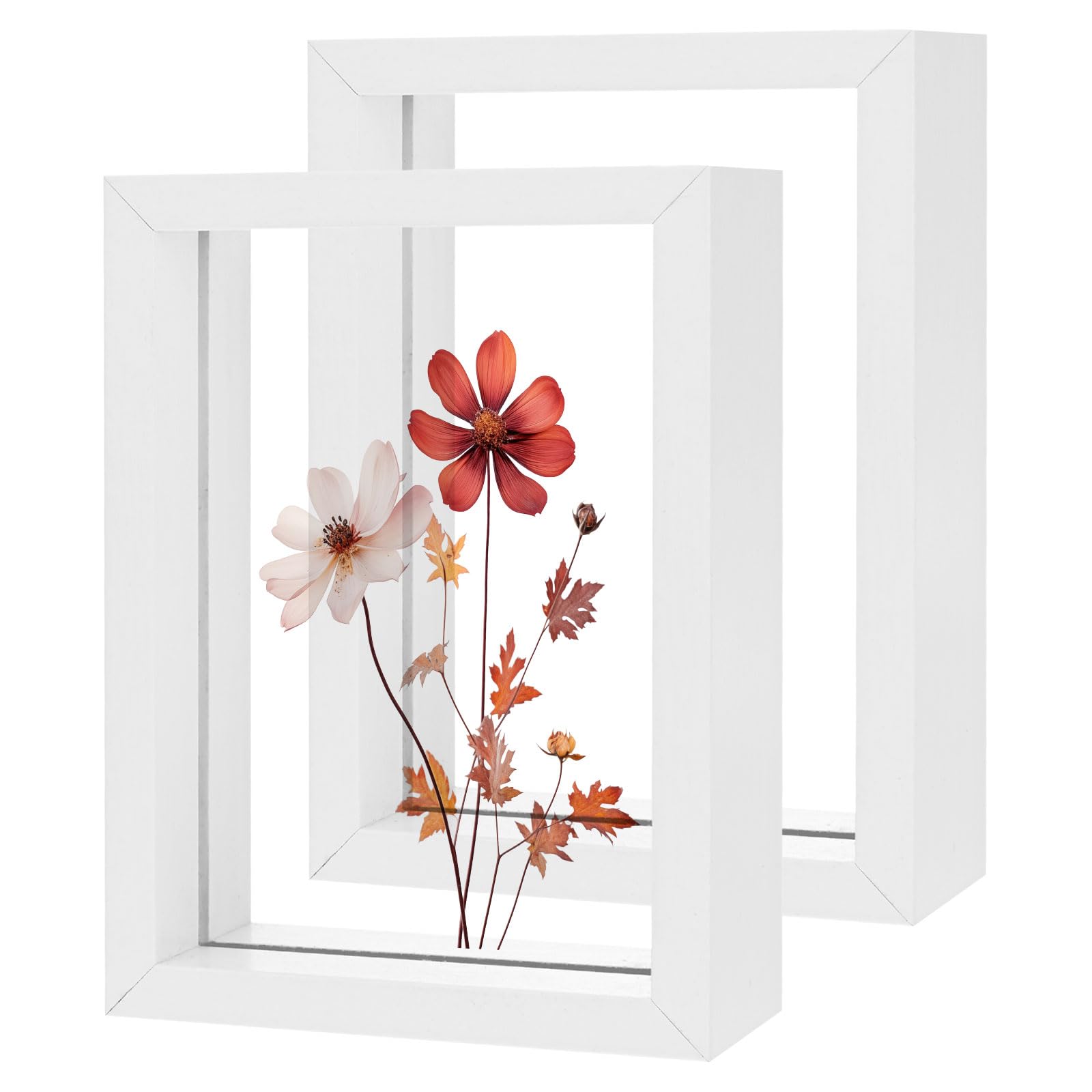 M METERXITY 2-Pack Wooden Pressed Flower Frame