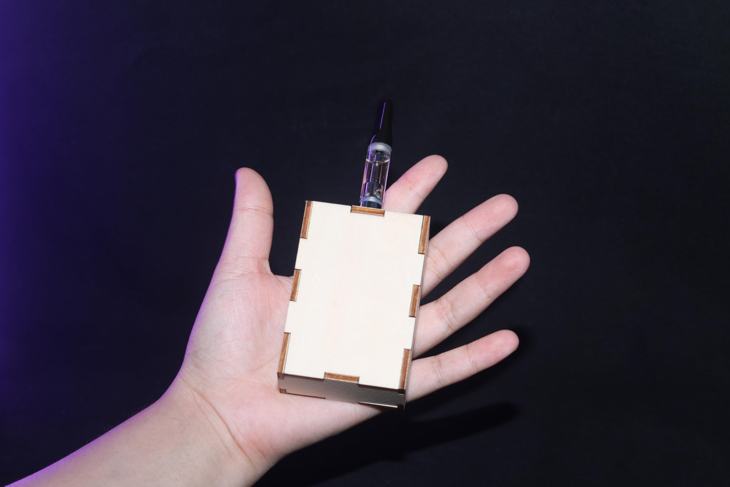 Máquina de humo de mano, máquina de niebla al aire libre con pilas con control remoto inalámbrico para DJ Party Disco Wedding Halloween, regalo (madera larga)