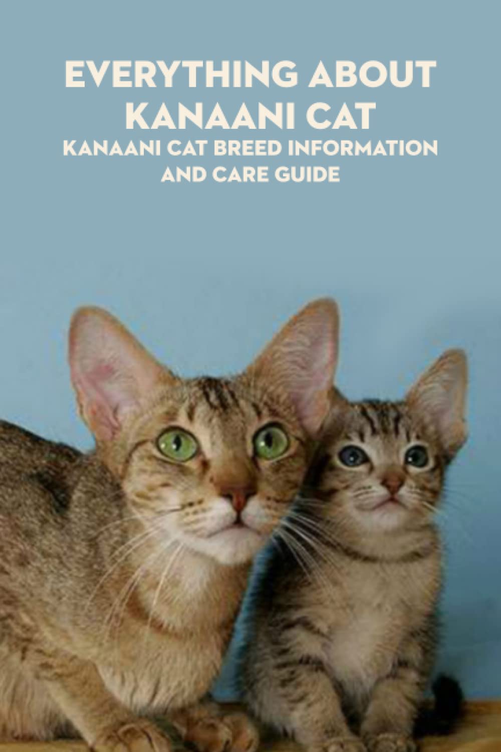 Everything about Kanaani Cat: Kanaani Cat Breed Information and Care Guide: Kanaani Cat Breed