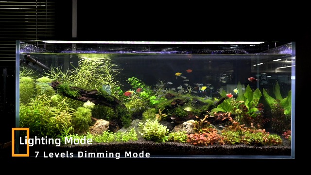 Image of GLOWRIUM Aquarium Light, LED Fish Tank Light with Timer, Full Spectrum Freshwater Planted Aquarium Grow Lights with Moon Lights, Brightness Adjustable, Daylight /Moonlight Mode, Auto On /Off (18-23 in)