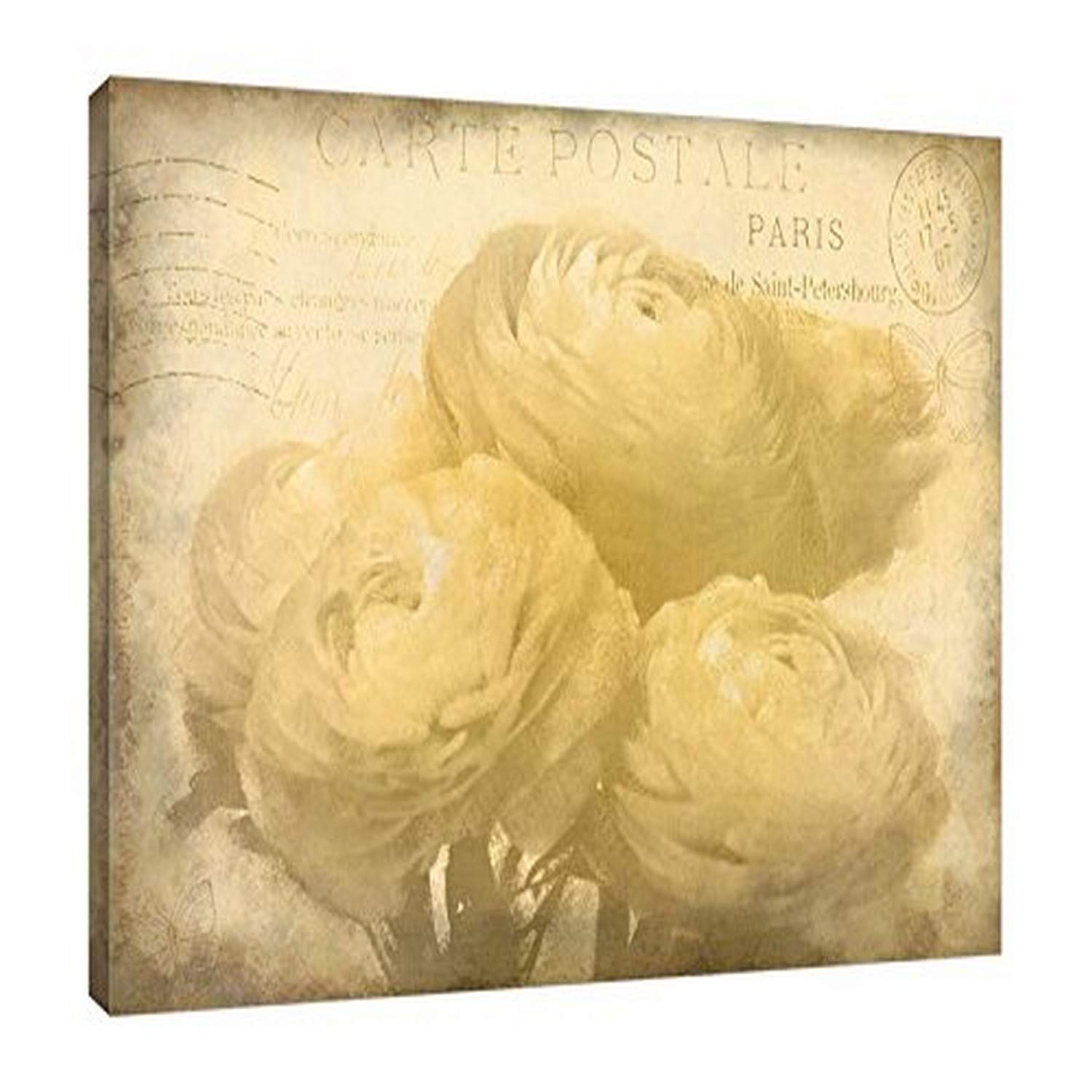 Jaxson Rea Ranunkeln Blooms Wrapped Canvas Art, 32