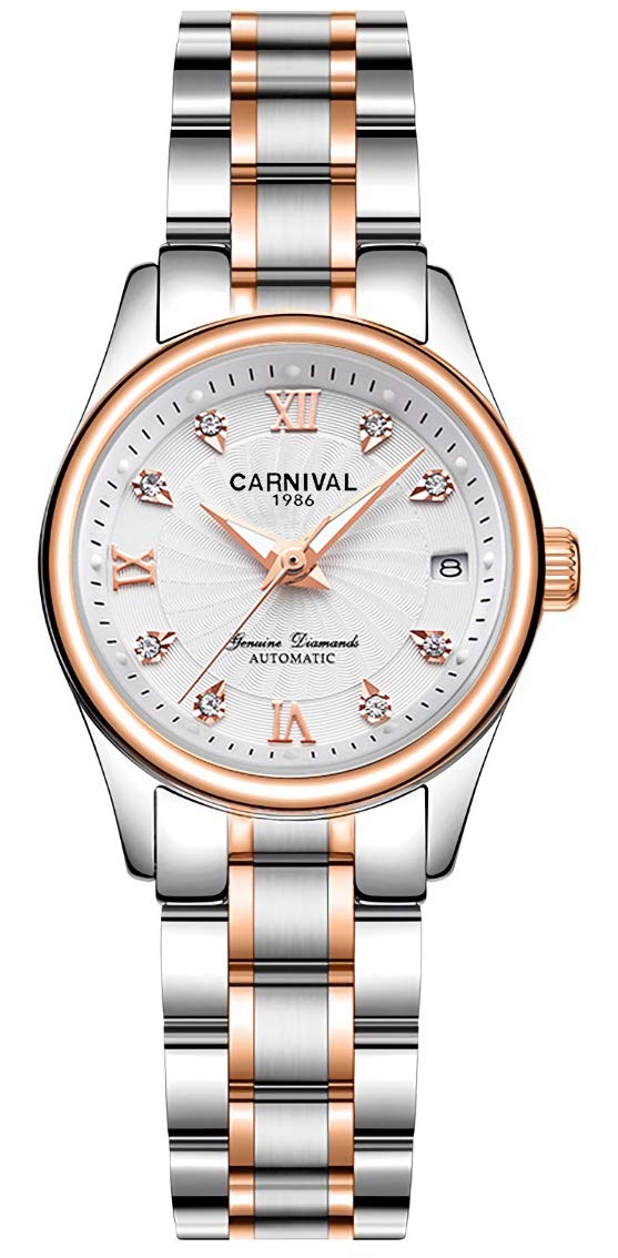 TEINTOP Women's Automatic Mechanical Watch Fashion Rose Gold Dress