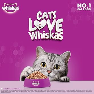 Whiskas Kitten (2-12 months) Dry Cat Food, Ocean Fish, 1.1kg Pack