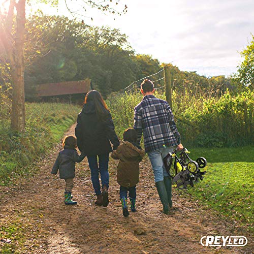 REYLEO 13.5 AMP Powerful Corded Tiller, 18