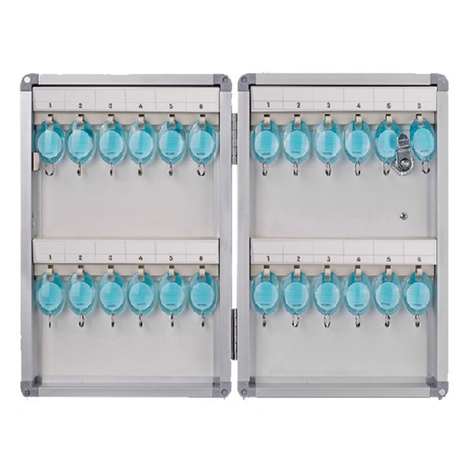 Armadietto Portachiavi a Parete con Serratura, Cassaforte Chiavi in ​​Lega di Alluminio, Gestione Chiavi, Portachiavi Sicuro con Targhette Portachiavi per la Scuola(24keys(22x33x6cm/9x13x2.4in))