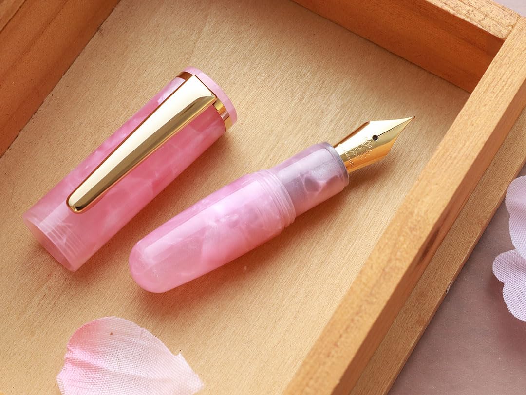 Amazon | WANCHER 1×one×wan PuChiCo (EF, ピオニーピンク) | 万年筆