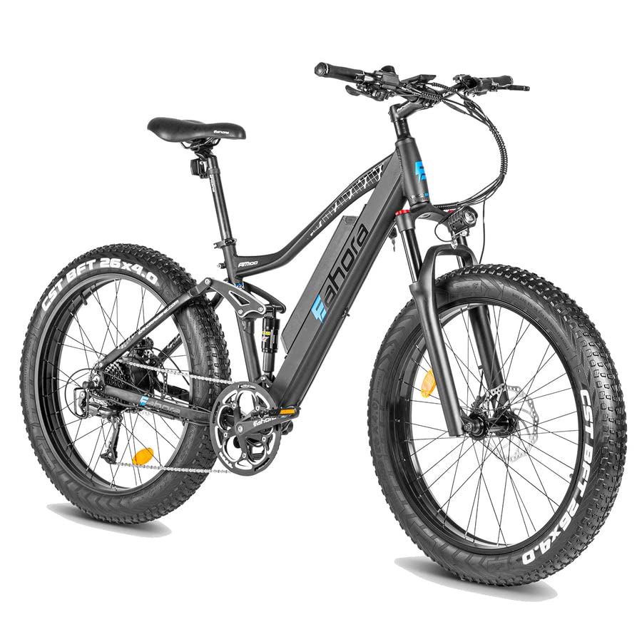 eAhora AM200 750W 31MPH Electric Bikes for Adults 4.0'' Fat Tire Electric Bike 48V 14AH Snow Beach M