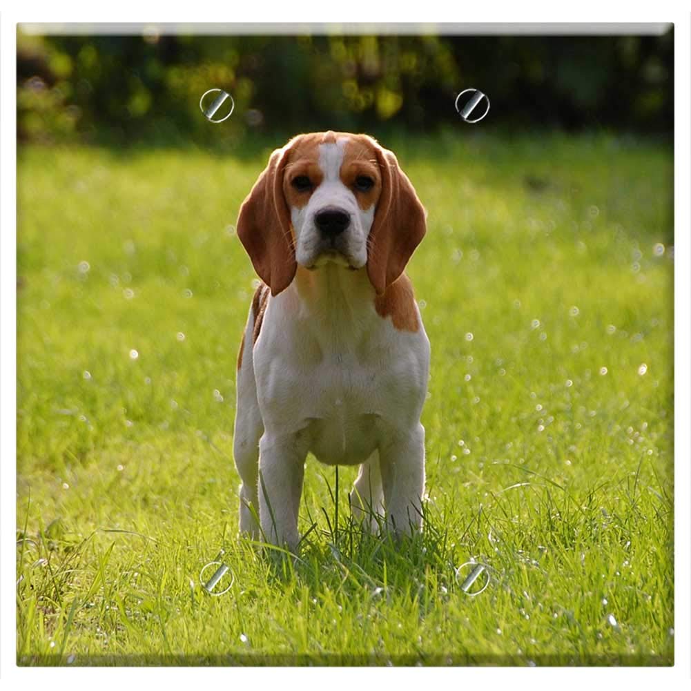 Double Blank Wall Plate Cover - Dog Puppy Beagle Doggy Animal Breed Bigel 1