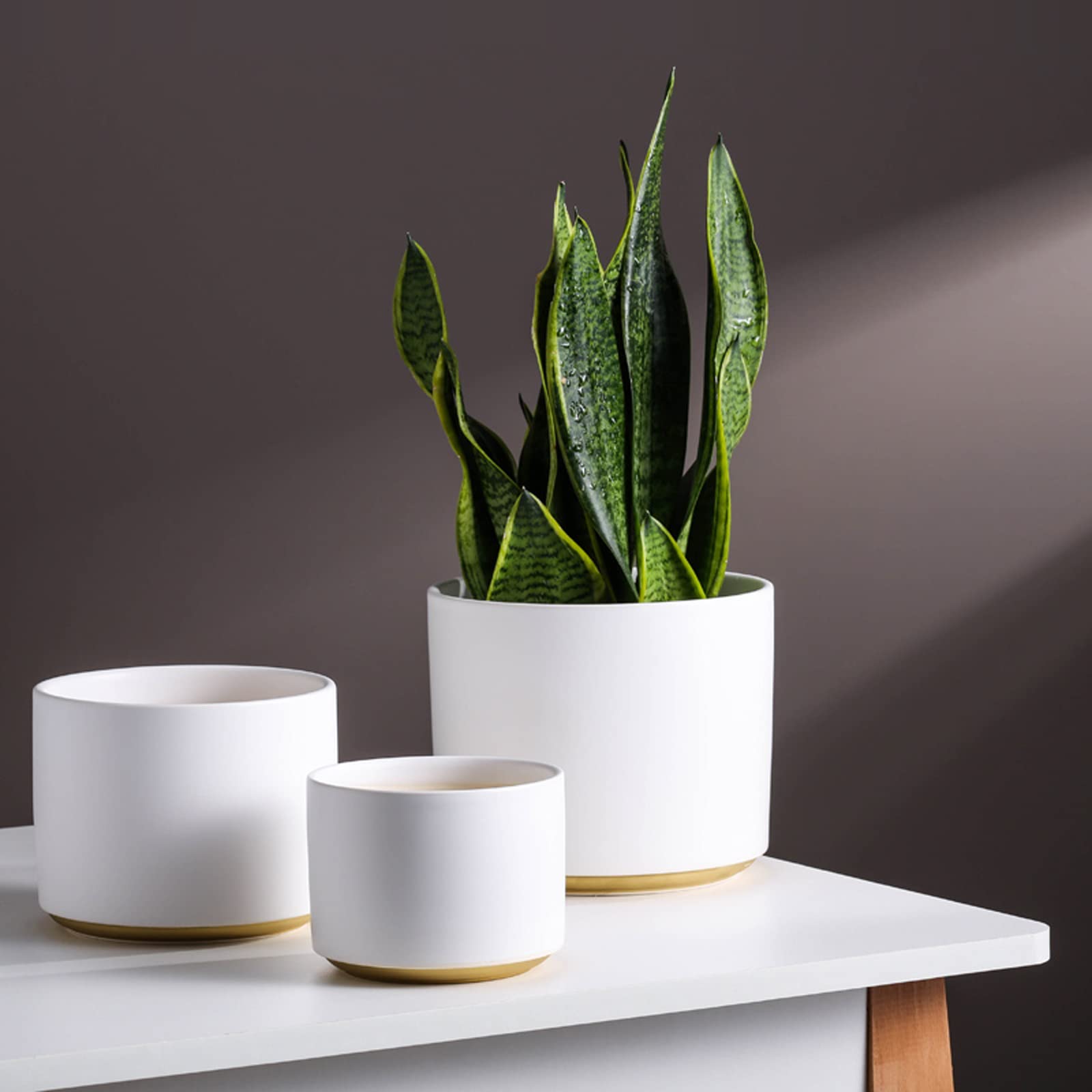 Vasi da Giardino 4.9/5.9/7 "Vaso per Piante - Cilindro Fioriere per Fiori in Ceramica Contenitori Moderni per Piante grasse con Foro di Scarico per Decorazioni per l'home Office