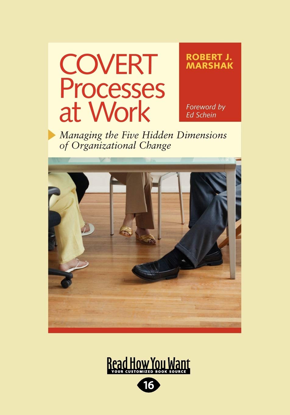 COVERT Processes at Work: Managing the Five Hidden Dimensions of Organizational Change