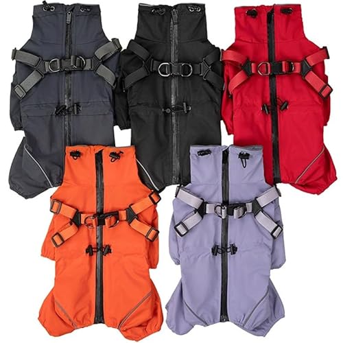 JPETTO^ ^ _E p[X 킢  Ȃ _ER[g ̕ V Xm[EFA hbOEFA p[J[ ~ ybg L _EWPbg N L _ExXg g h q gCv[h ` U