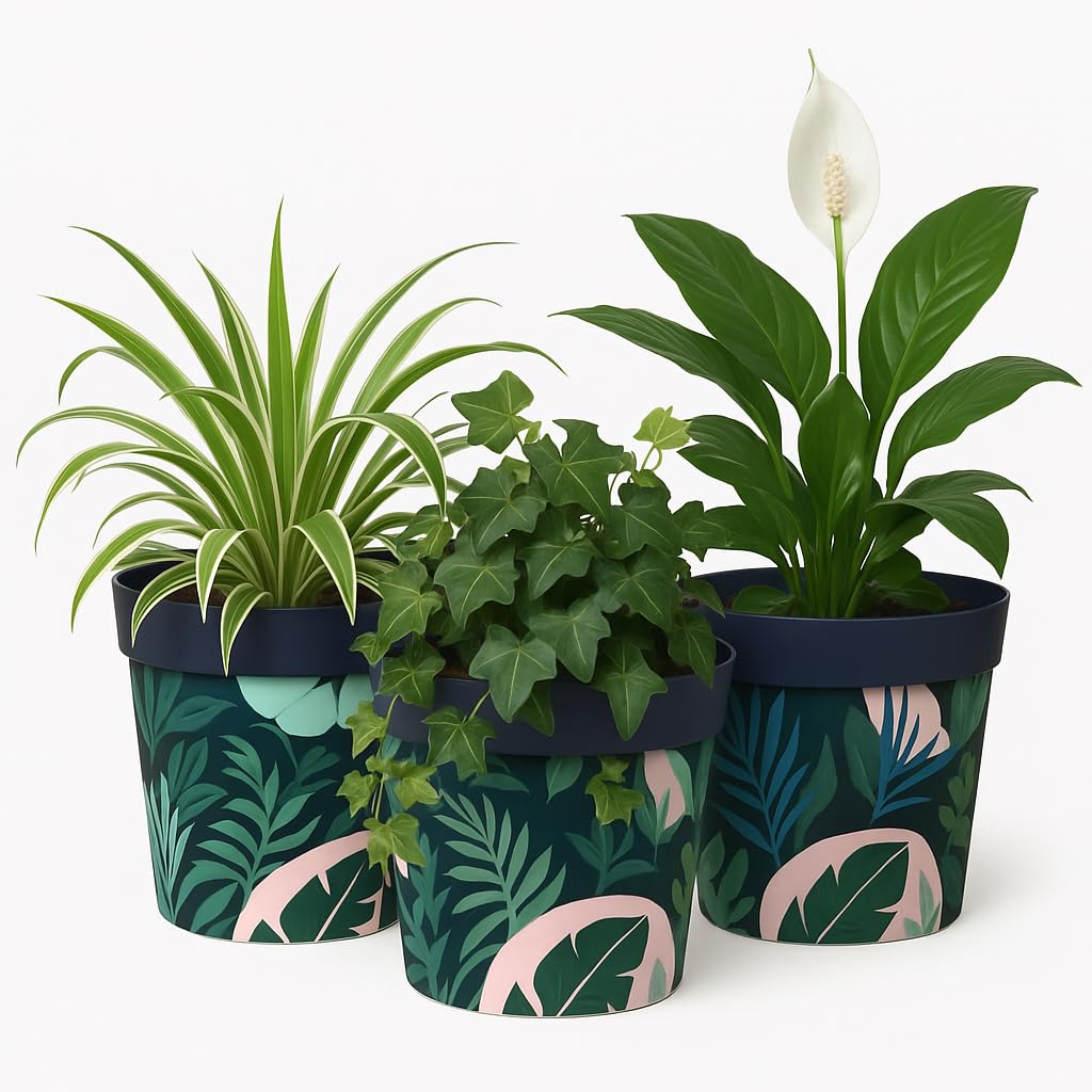 Retro Plant Pots Pack Of 3 For Indoor And Outdoor Use - Summer Jungle Flowersea