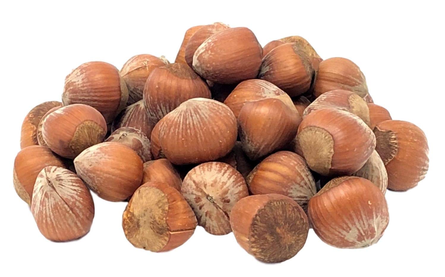Buy NUTS U.S. Oregon Hazelnuts In shell Whole, Raw and Unsalted No Added Flavor and NON
