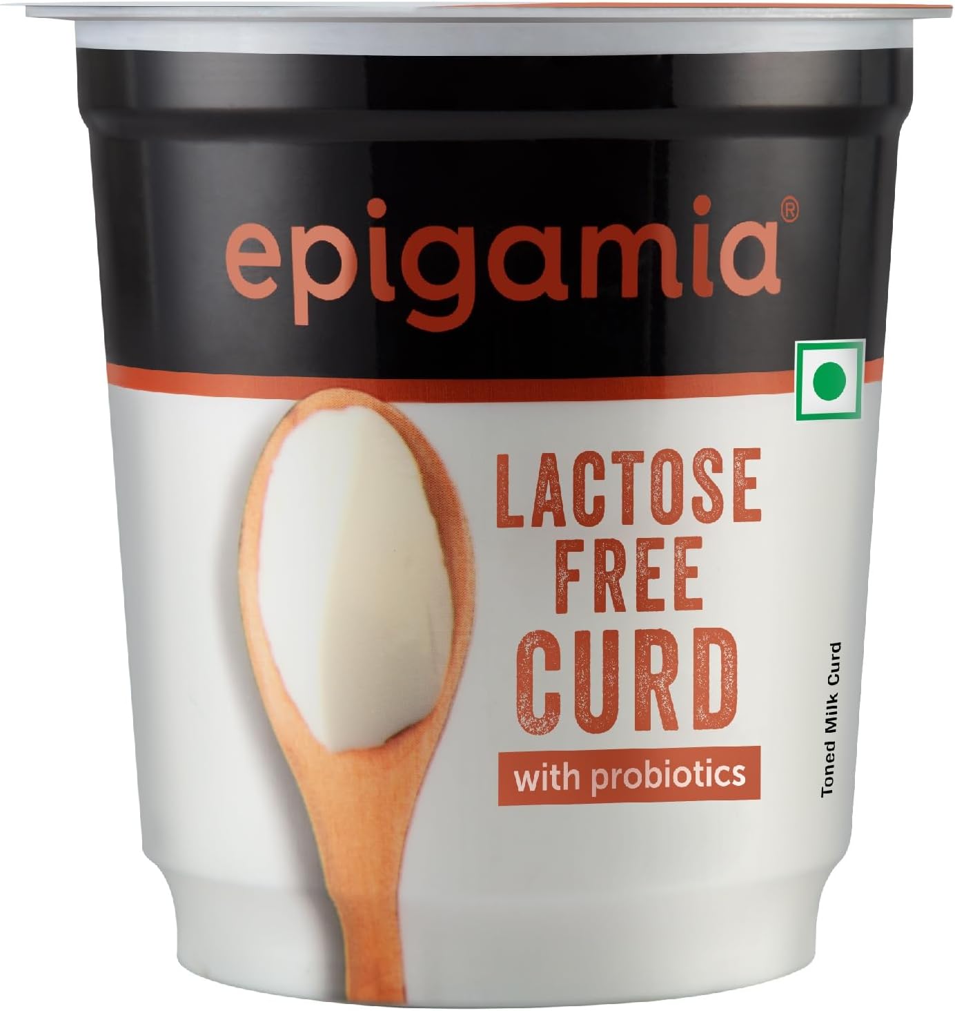 Epigamia Lactose Free Curd 400g