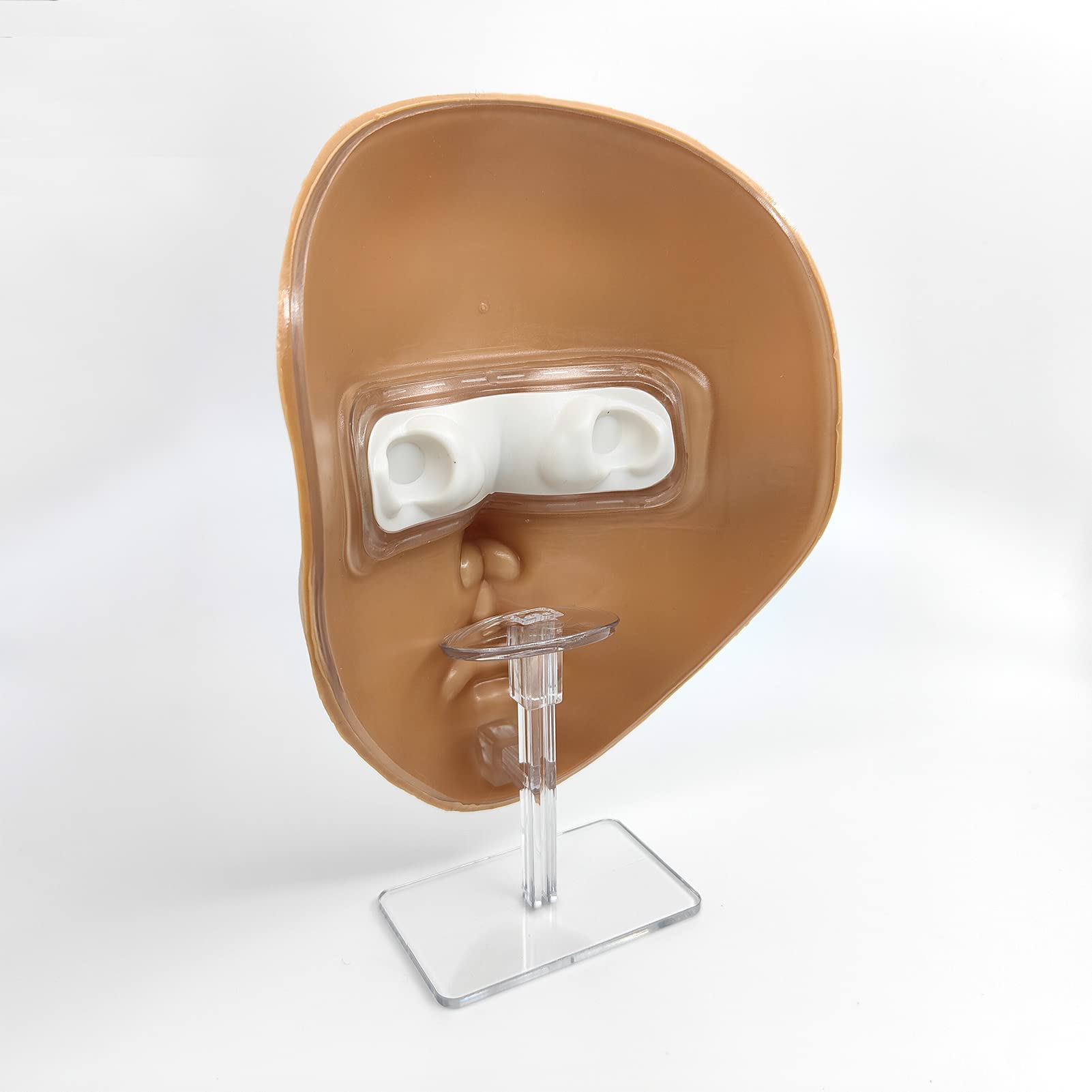3D Makeup Practice Face, Cara de maniquí de maquillaje reutilizable con juego de pinceles de maquillaje, para maquilladores emergentes, para regalo de niña
