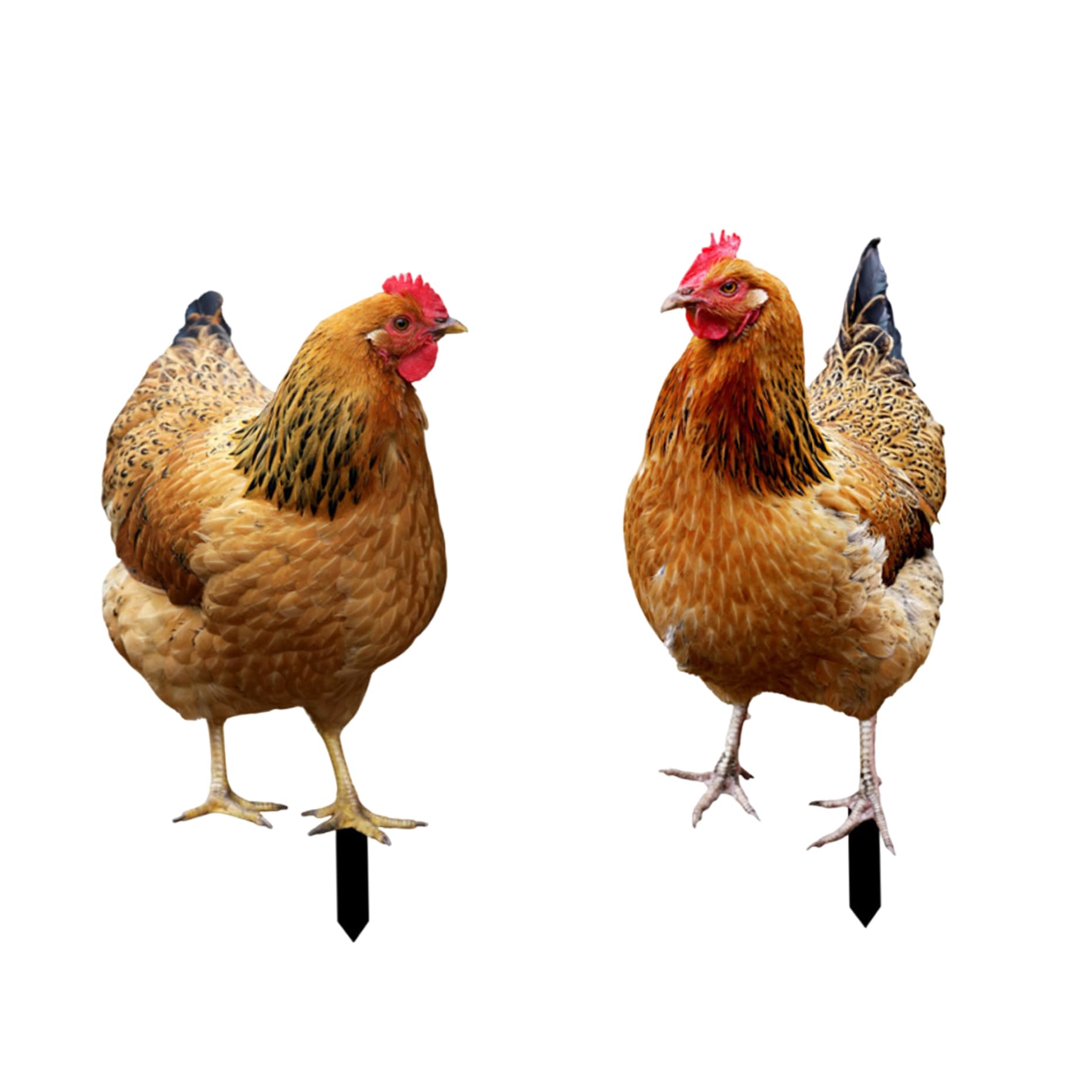 Sjfbebsy Chicken Garden Stake Acrylic Garden Chicken Statues, Outdoor Yard Decoration Yard Art for Lawn Ornament Style1, Art