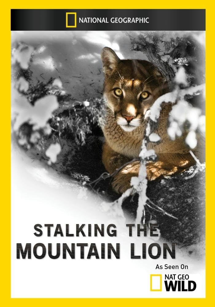 (未使用･未開封品)Wildlife: Raccoon Mountain Lion Fishing Animals [DVD] Wildlife: Raccoon, Mountain Lion, Fishing Animals [Import