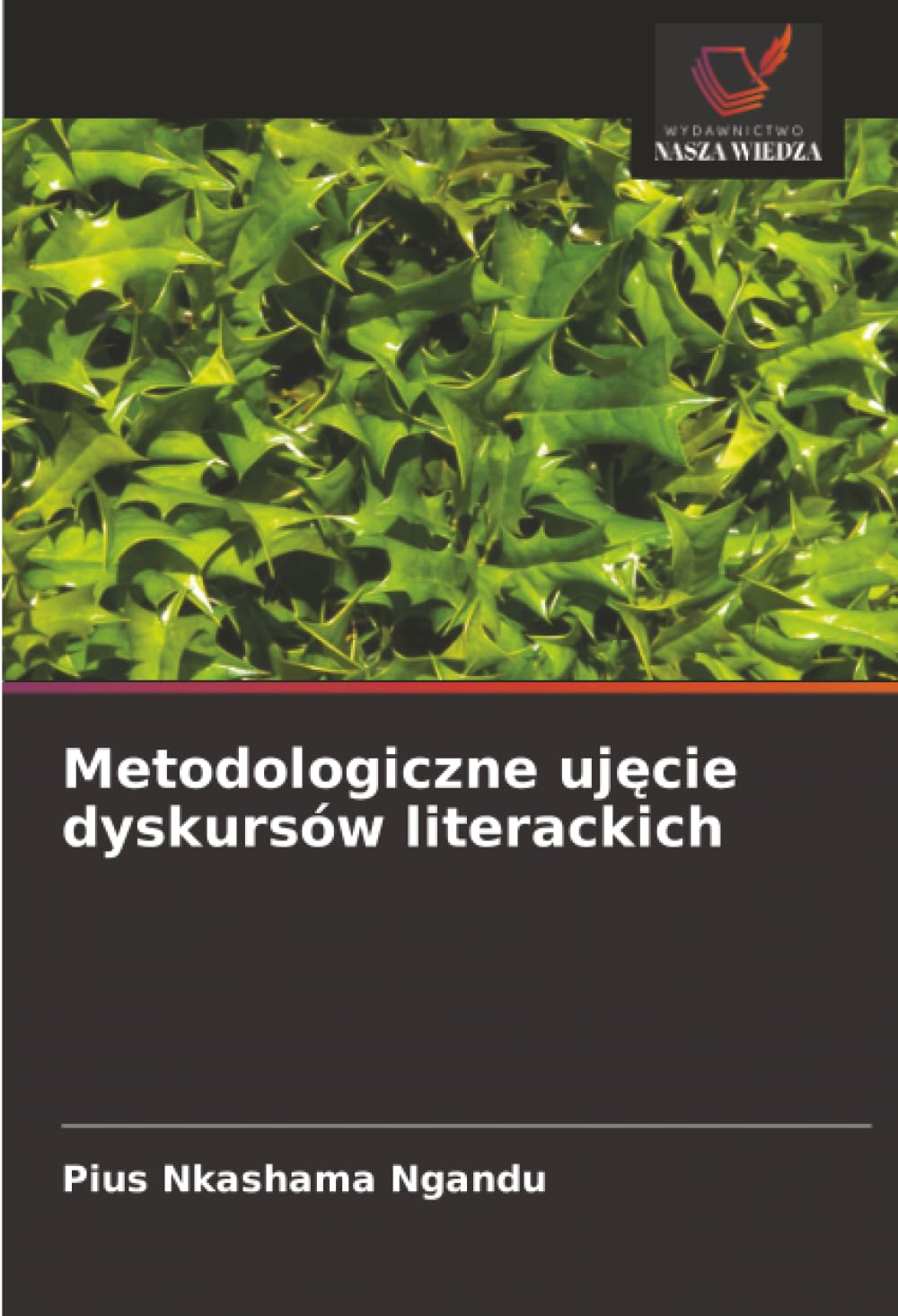 Metodologiczne uj¿cie dyskursów literackich