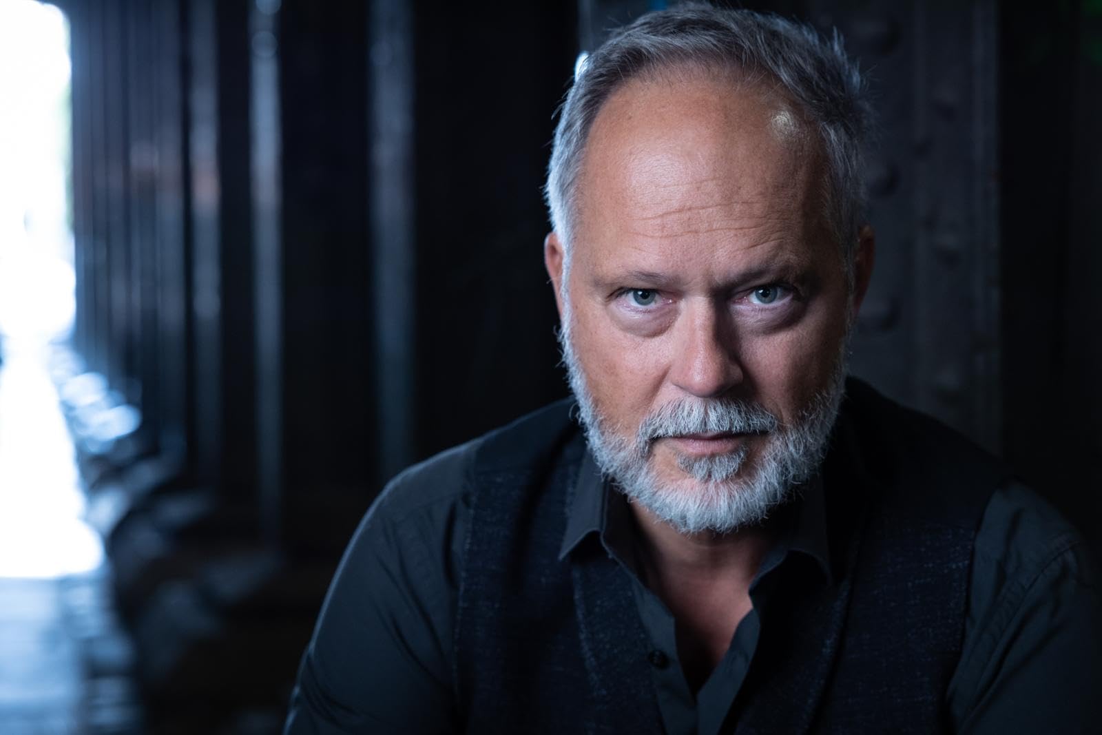 Die Hornisse: Thriller | Der dritte Band der Tom Babylon-Bestseller-Serie.: 3