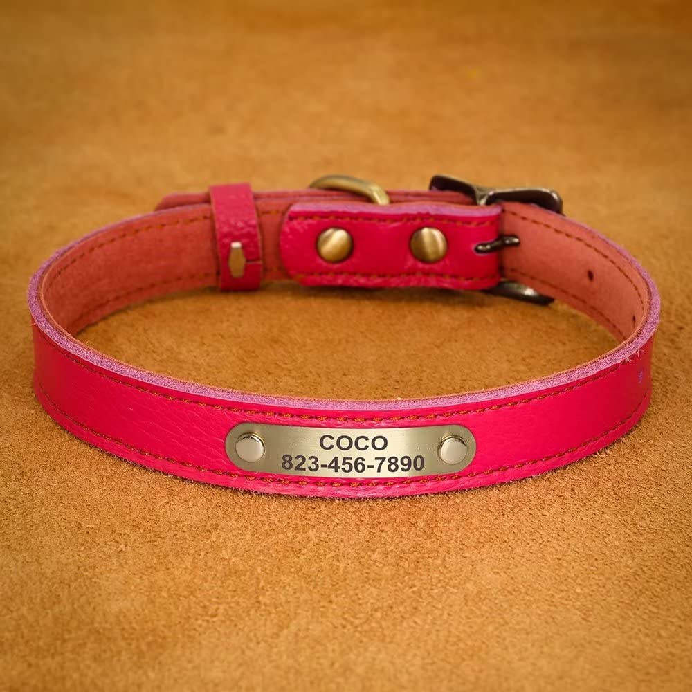 PET ARTIST Personalisiertes Hundehalsband Aus Leder – Größe M (30-40 Cm), Weich & Leicht