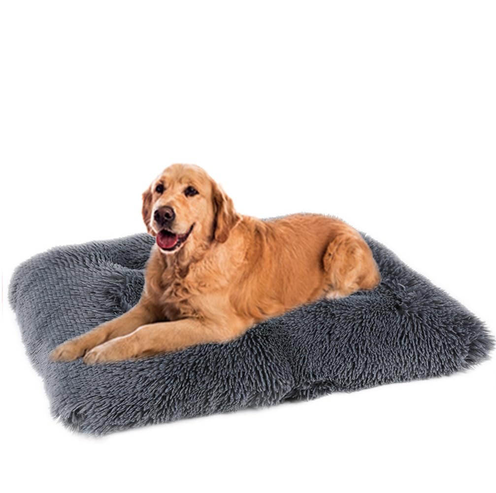 Hundebett Waschbar,Plüsch Flauschig Hundekorb Hundebett,Haustierbett,Hundesofa,Hundekissen,Rutschfestes Hundematte,Weich & Bequem,für Kleine,Mittlere Große Hunde Katzen,Dunkelgrau