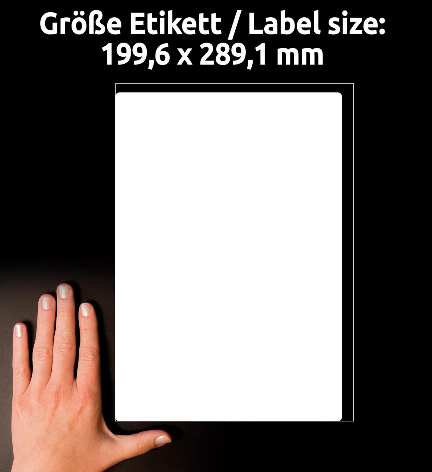 Avery Zweckform L7167 Shipping Labels (Pack of 100 Sheets, Opaque, 199.6 x 289.1 MM 100 Sheets White
