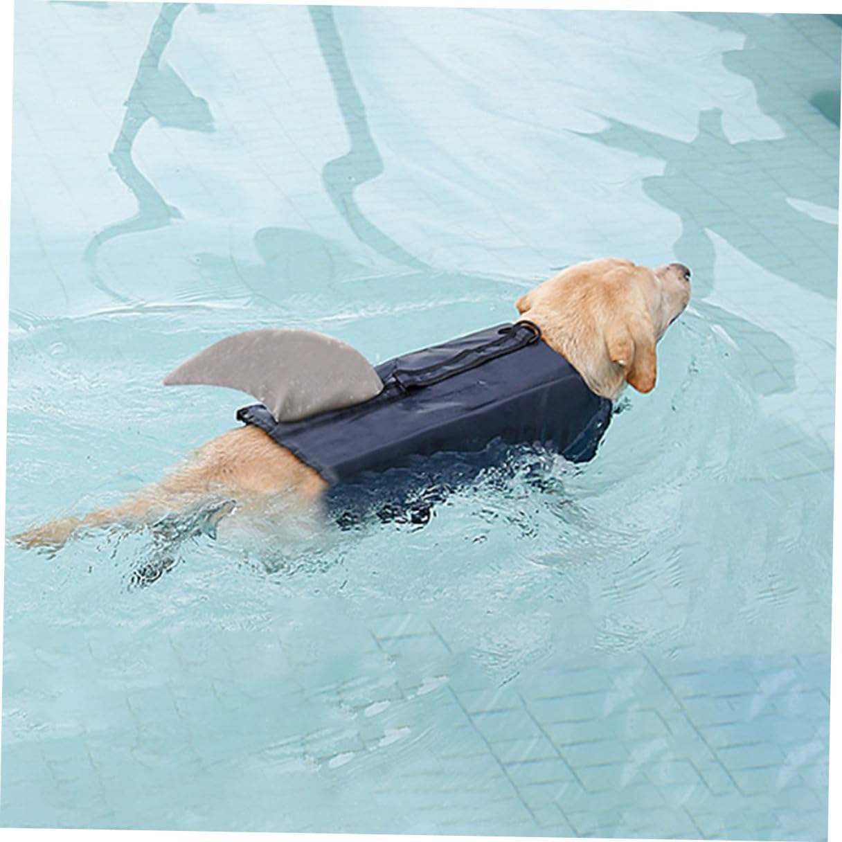 GLEAVI Dog Swimming Vest Shark Design Reflective Floating Life Jacket Waterproof Gray XL for Outdoor Training and Boating Safety