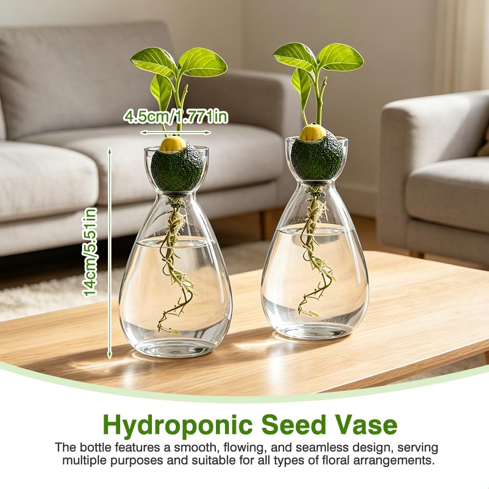 Terrario per piante idroponiche, 2 pezzi, stazione di coltivazione idroponica, vaso per semi di avocado, per gli amanti delle piante, decorazione da tavolo per casa e ufficio, piante acquatiche o
