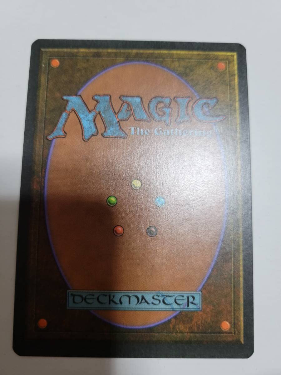 Amazon.co.jp: MTG//3ED/イタリア語/Taiga : おもちゃ