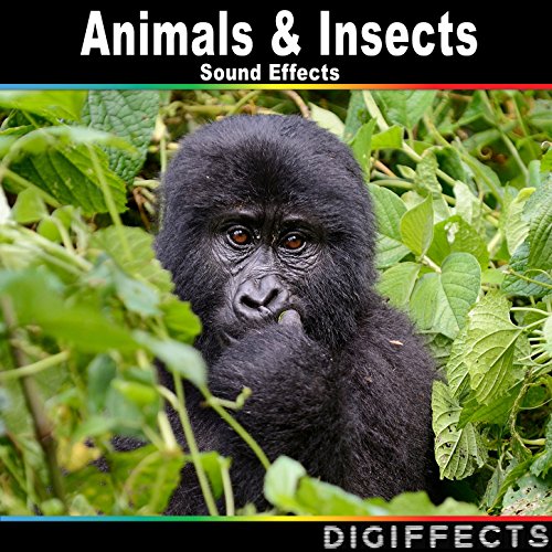 Insect Effect Sound Animals & Insects Sounds Effects by Digiffects Sound Effects Library on ...