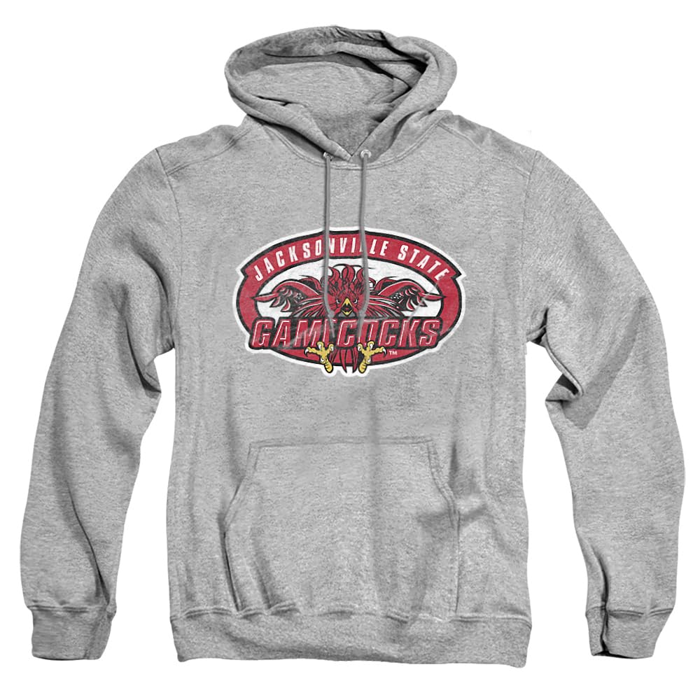 LOGOVISION Official Collegiate Distressed Primary Logo Adult Pullover Hoodie Collection — view 128