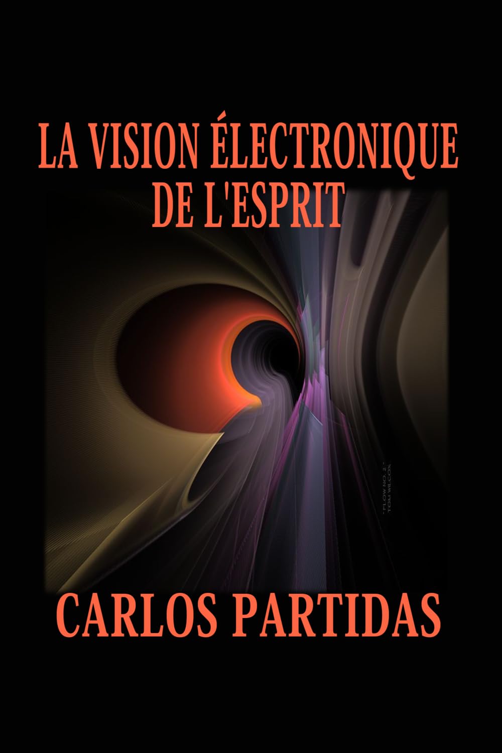 LA VISION ÉLECTRONIQUE DE L'ESPRIT: LES ESPRITS PEUVENT TRAVERSER LA MATIÈRE PHYSIQUE ET ÉLECTRONIQUE SANS ÊTRE RETENUS