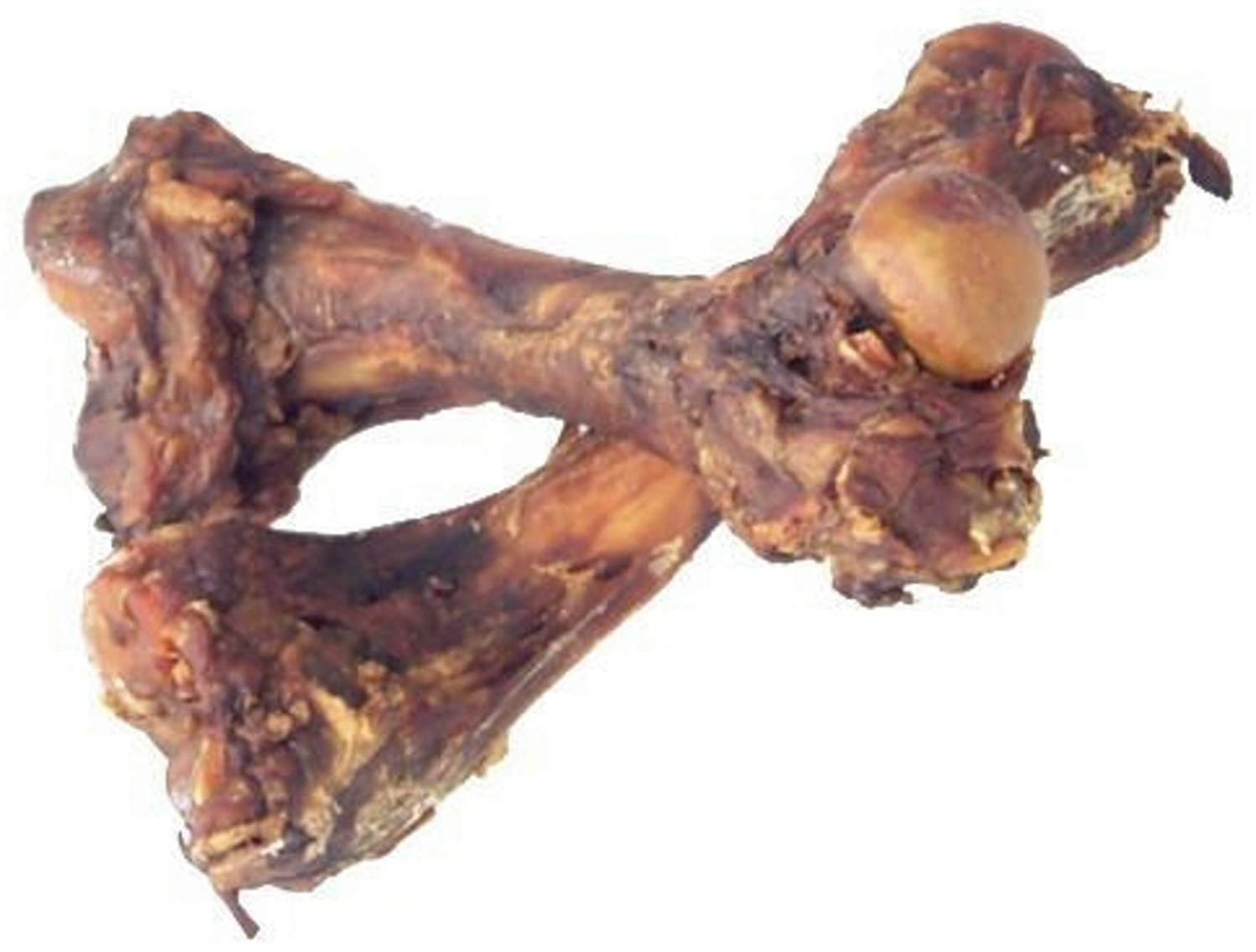 dog swallowed pork bone