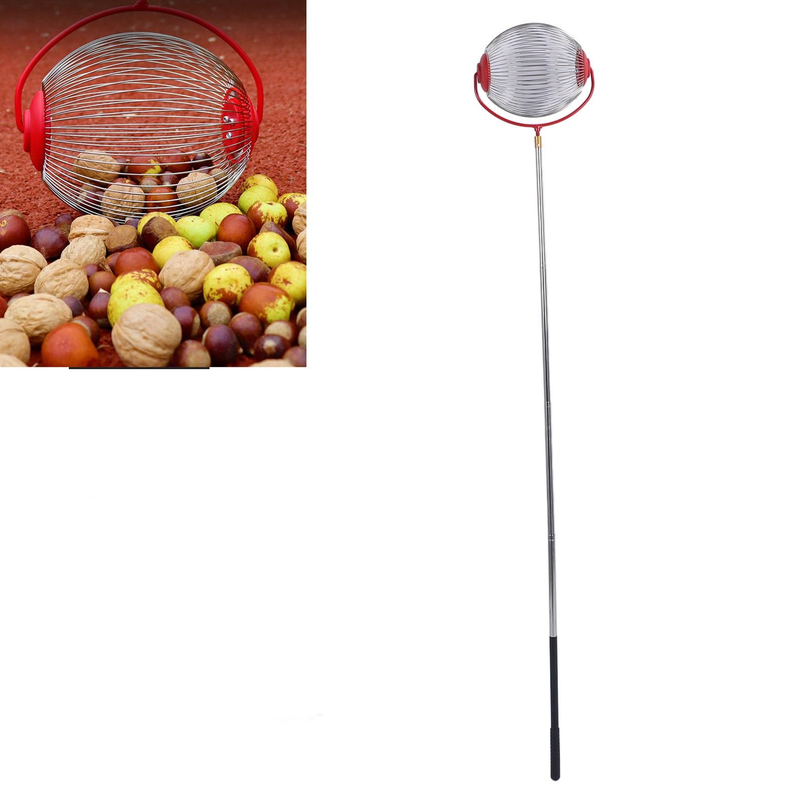 Garden Weasel 95314 Nut Gatherer, Picks Up Pecans, Acorns, Gum Balls, Hickory Nuts, .75-2 In Size, Rust Resistant