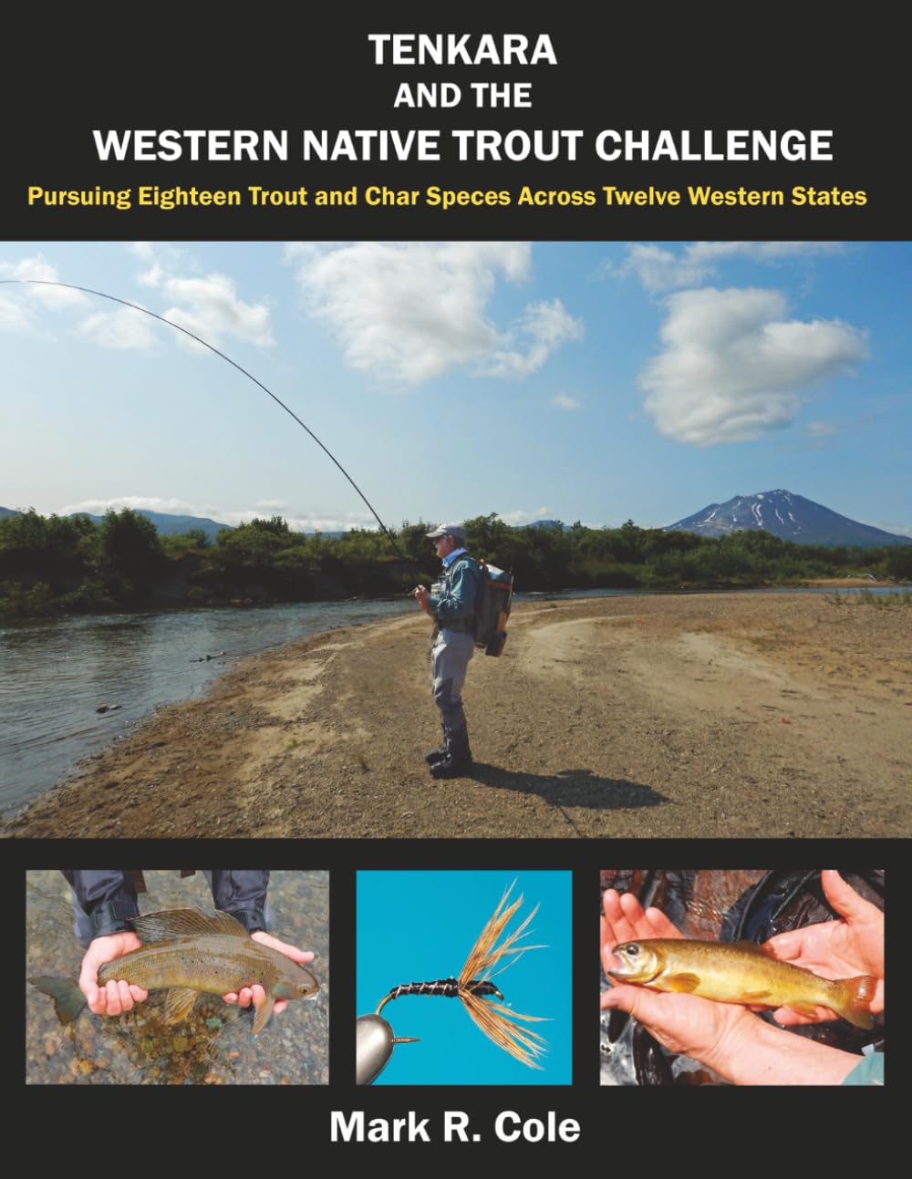 Tenkara and the Western Native Trout Challenge: Pursuing Eighteen Trout and Char Species Across Twelve Western States      Paperback – January 15, 2026