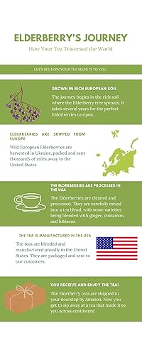 Miniatura 4 de Té de jengibre y cúrcuma de saúco, fabricado en Estados Unidos