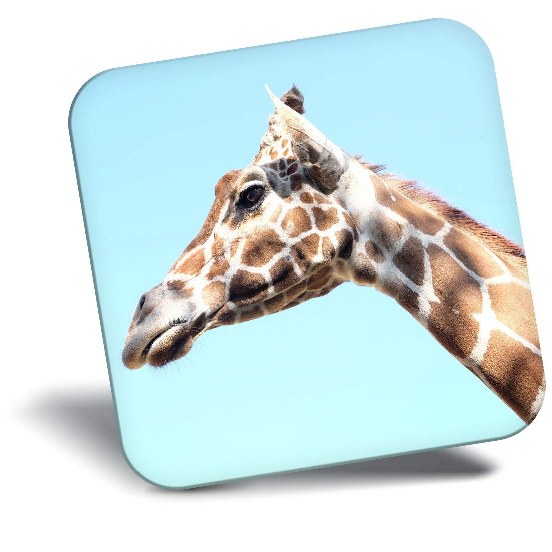 Destination Vinyl ltd Fridge Magnet - Giraffe Head Wild African Animals 21596