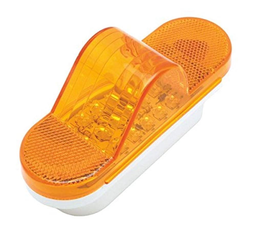 ライト・ランタン COPPER 250 The Biltmore Traveler Flush Lantern by The CopperSmith Lighting