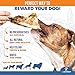 K9warehouse® - Jumbo Cow Ears Made with Bully Stick Flakes for Dogs - USA Packed, All-Natural Dog Chews - Great Alternative to Pig Ears, Lamb Ears, and Water Buffalo Ears