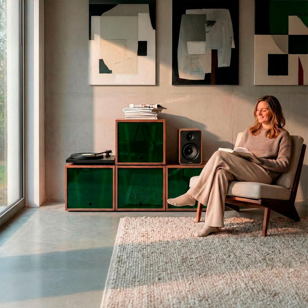 Scatola impilabile per dischi in vinile | Conservazione per vinili +200 LP | Mobile in legno massello noce | Organizzatore modulare per LP