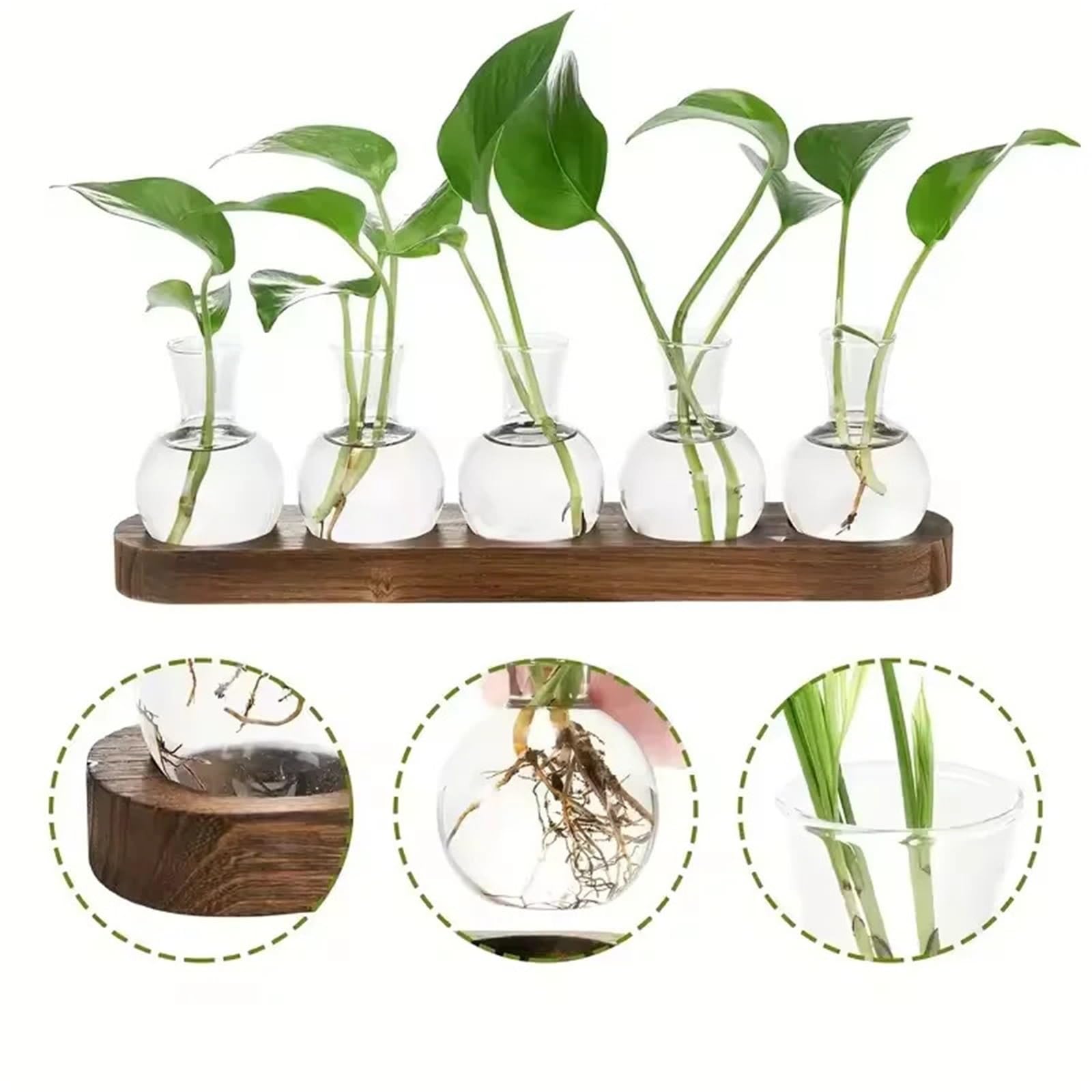 Vase Hydroponique Verre Terrarium en Verre for Plantes avec Plateau Bois – for Vase hydroponique de Propagation intérieur, décoration Bureau, Maison(Size A)