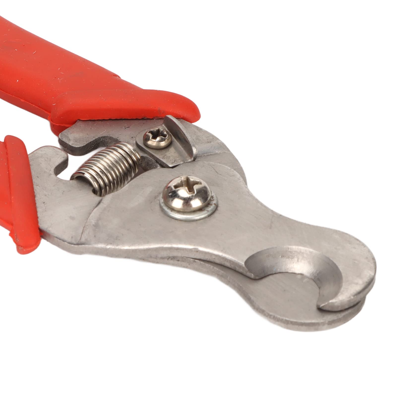 Pince à Enlever les étiquettes D'oreille Pince à Enlever les Animaux Couper L'étiquette D'oreille D'animal en Acier Inoxydable pour les Fournitures de santé du Bétail Poultry Farming Supplies